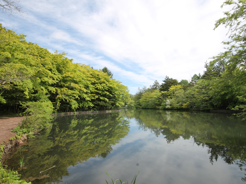 軽井沢の雲場池